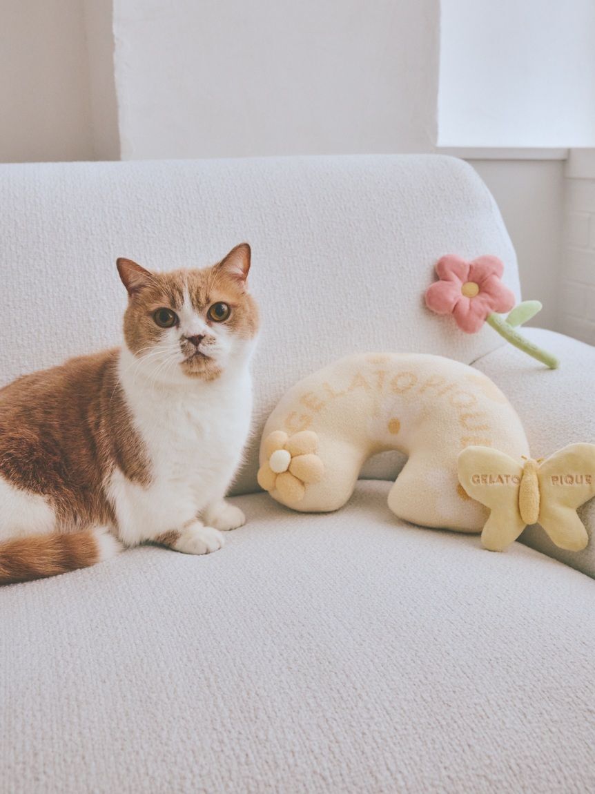  GELATO PIQUE CAT&DOG「【CAT&DOG】スムーズィーフラワーモチーフニットピロー」|その他|