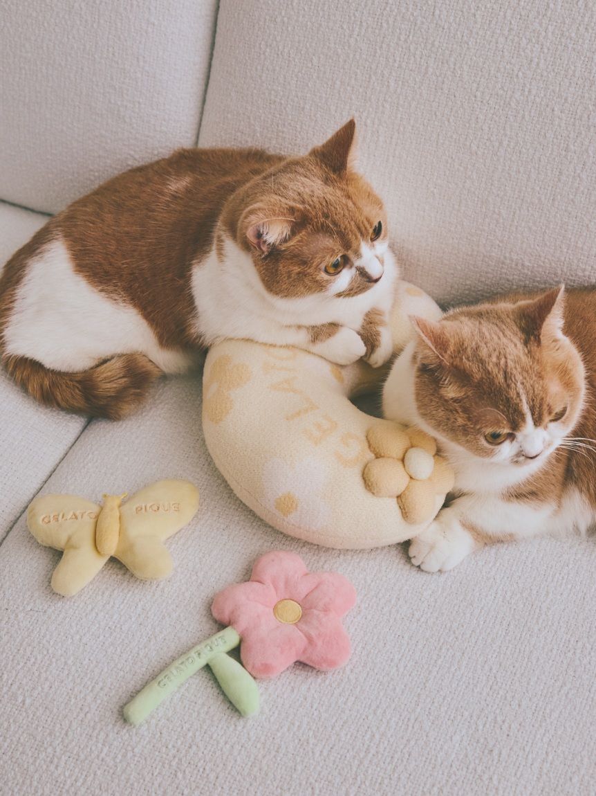  GELATO PIQUE CAT&DOG「【CAT&DOG】スムーズィーフラワーモチーフニットピロー」|その他|
