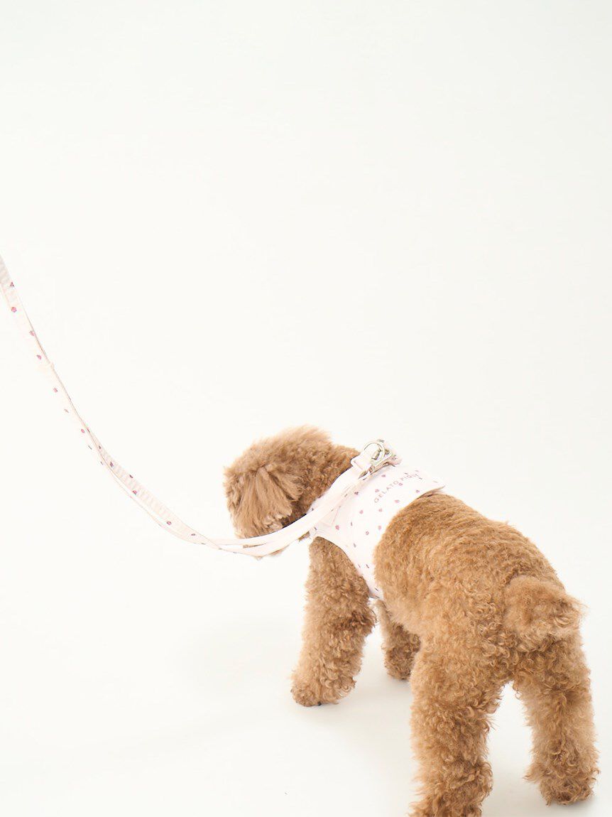  GELATO PIQUE CAT&DOG「【CAT&DOG】【販路限定商品】モチーフ柄ハーネス」|その他|