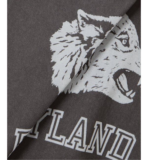 OUTDOOR PRODUCTS Usual Things「≪予約≫追加4 ピグメントカットオフZOO TEE」|Tシャツ・カットソー|