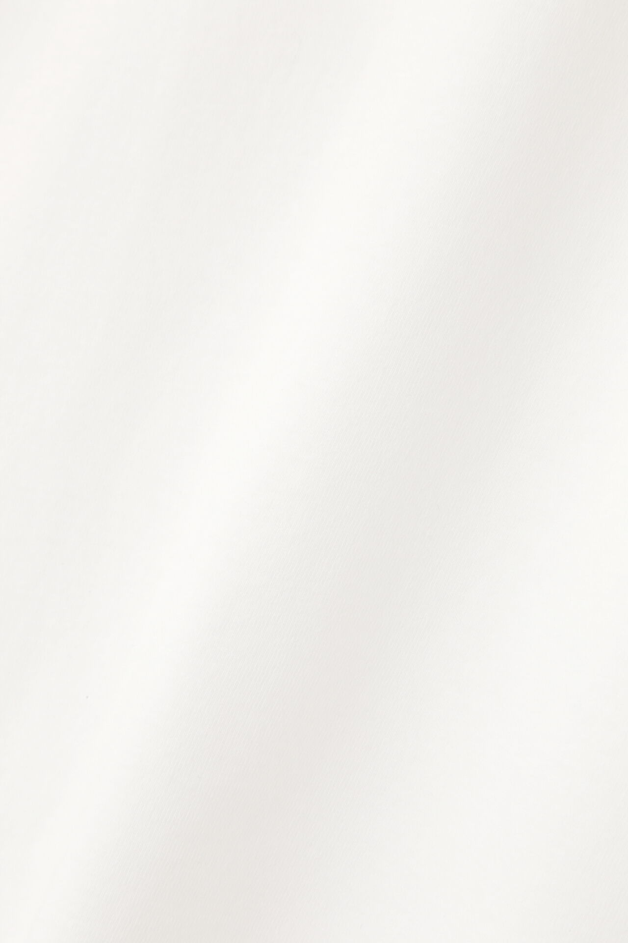 YLEVE 「Ｙ / ORGANIC COTTON JERSEY L/S T」|Tシャツ・カットソー|