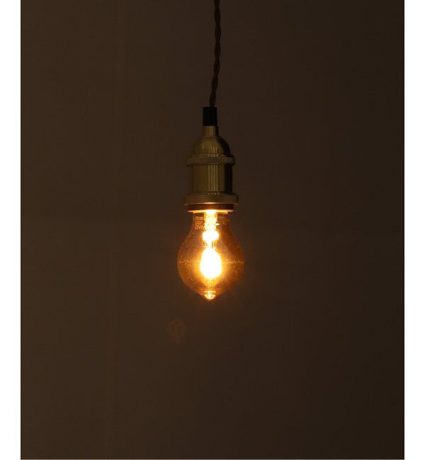 journal standard Furniture「LED SWAN BULB VF SWAN LED電球」|その他|