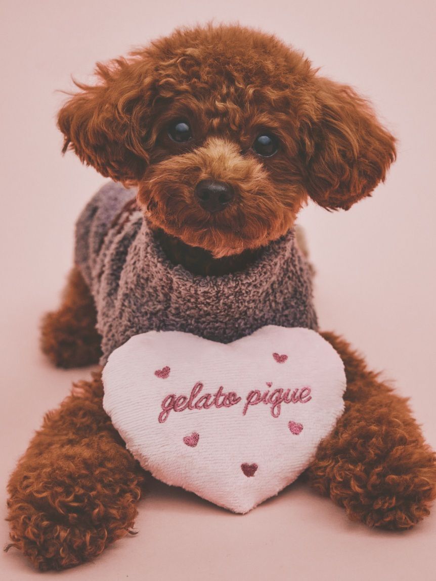  GELATO PIQUE CAT&DOG「【CAT&DOG】ハートトイ」|その他|PNK