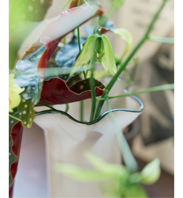 journal standard Furniture「FLOWER VASE WAVY E LINE　フラワーベース」|その他|