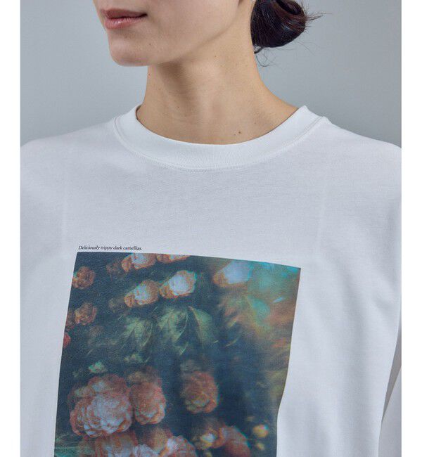 SALON adam et rope'「【Annie Spratt by SALON】フォトロングスリーブTシャツ」|Tシャツ・カットソー|