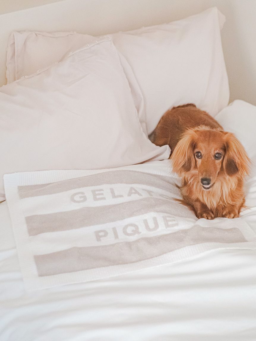  GELATO PIQUE CAT&DOG「【CAT&DOG】スムーズィー2ボーダーブランケット」|その他|