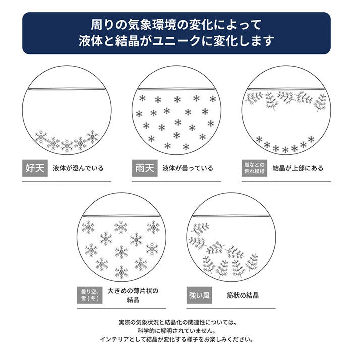 BACKYARD FAMILY「ストームグラス ムーミン 通販 気象計 天気予報 置物 サイエンス 科学 天気 天候 気温」|その他|