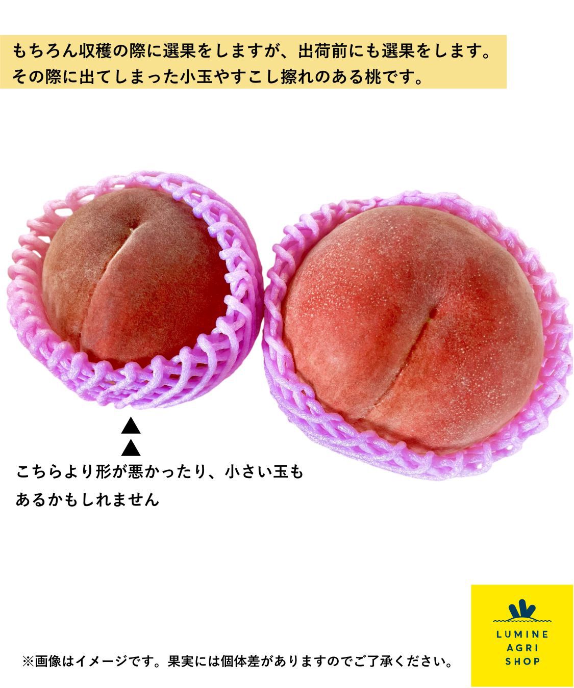 LUMINE AGRI SHOP「【エシカーニバル】すえっこピーチ　9-12玉」|果物・野菜|
