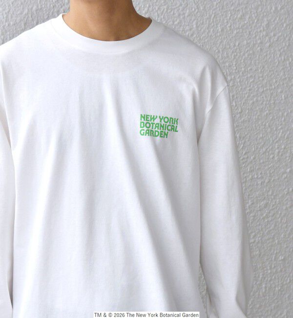 SHIPS any「【SHIPS any別注】NYBG: ボタニカル プリント リラックス Tシャツ (ロンT)◆」|Tシャツ・カットソー|