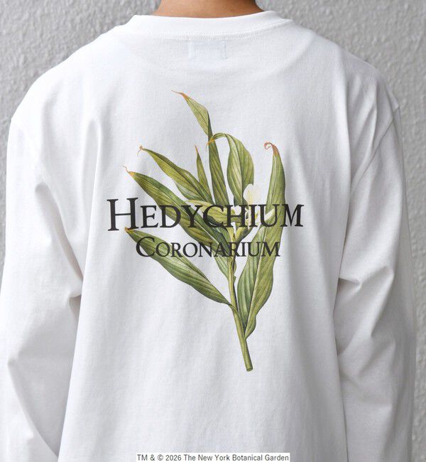 SHIPS any「【SHIPS any別注】NYBG: ボタニカル プリント リラックス Tシャツ (ロンT)◆」|Tシャツ・カットソー|