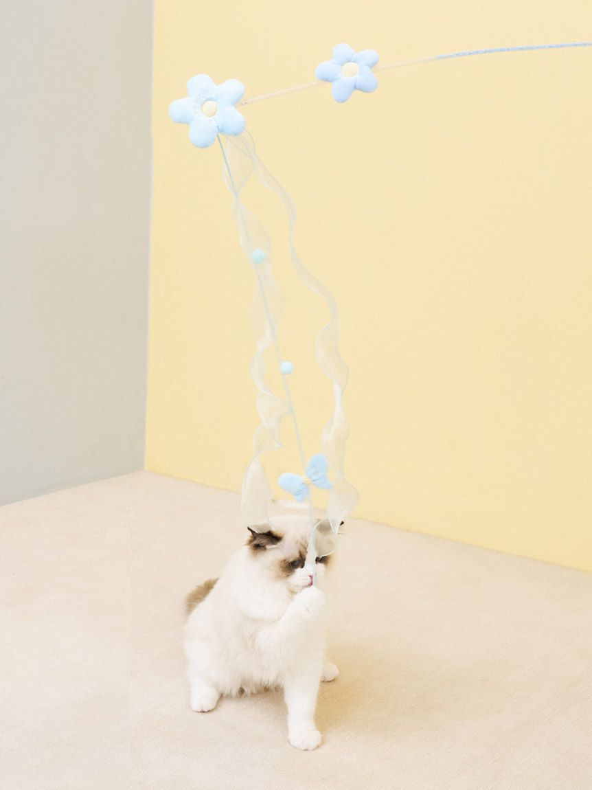  GELATO PIQUE CAT&DOG「【CAT&DOG】フラワーモチーフねこじゃらし」|その他|