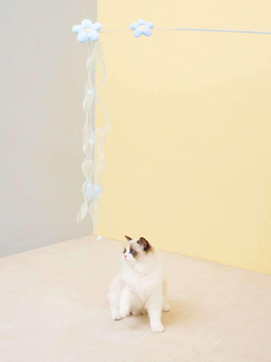  GELATO PIQUE CAT&DOG「【CAT&DOG】フラワーモチーフねこじゃらし」|その他|