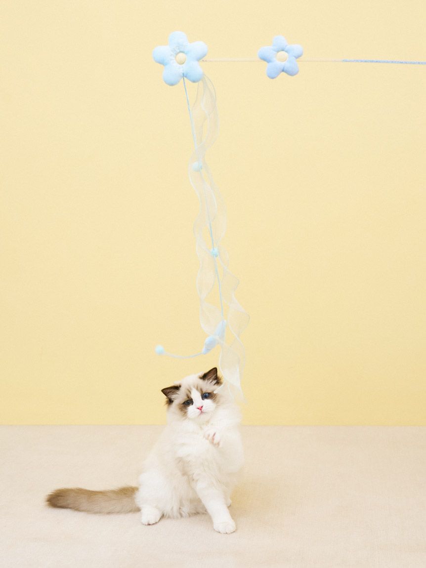  GELATO PIQUE CAT&DOG「【CAT&DOG】フラワーモチーフねこじゃらし」|その他|