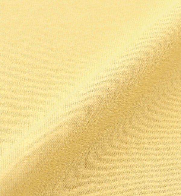 MACKINTOSH PHILOSOPHY「GREY LABEL リンガーロゴTシャツ」|Tシャツ・カットソー|