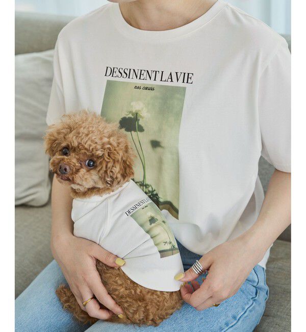 ROPE PICNIC PASSAGE「【DOG】RENU photo Tee/UVカット・接触冷感・リンクコーデ」|その他|ホワイト系(12)