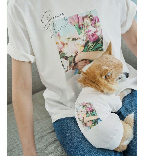 ROPE PICNIC PASSAGE「【DOG】RENU photo Tee/UVカット・接触冷感・リンクコーデ」|その他|