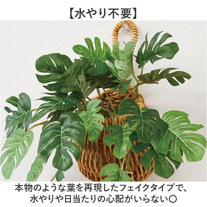 BACKYARD FAMILY「ドロップバスケット 通販 光触媒 フェイクグリーン バスケット かご インテリアグリーン」|その他|