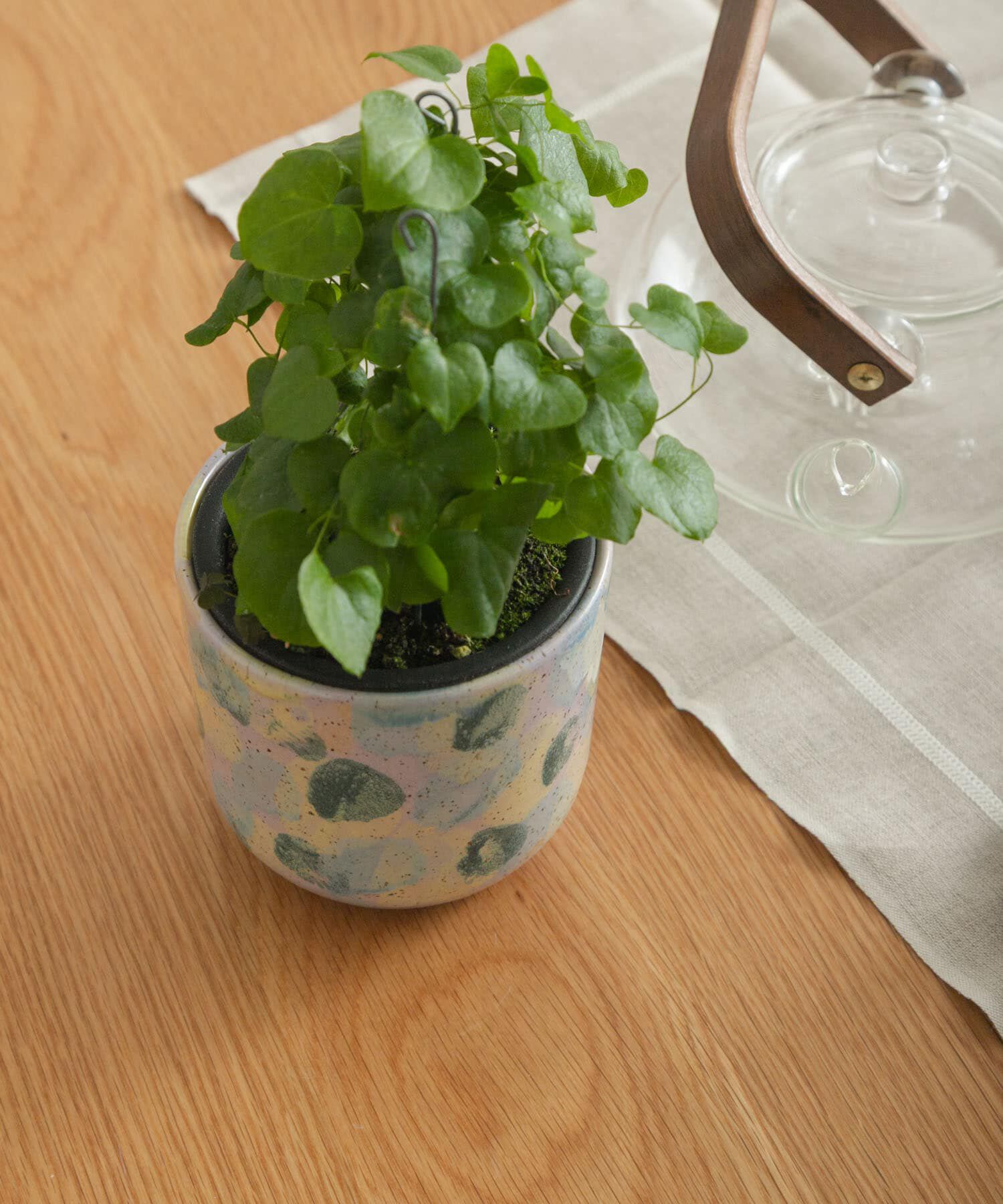 URBAN RESEARCH DOORS「Inter Plants Net　パレット 10.5」|フィギュア・ホビー|