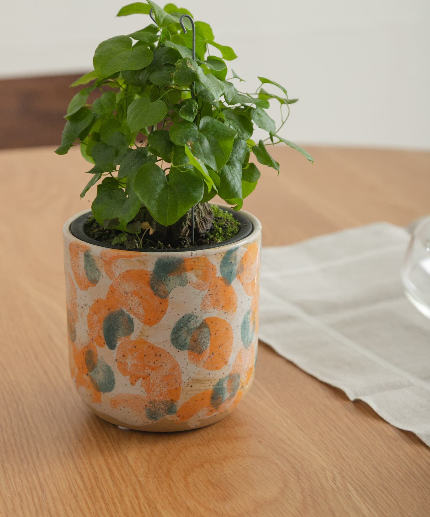 URBAN RESEARCH DOORS「Inter Plants Net　パレット 10.5」|フィギュア・ホビー|