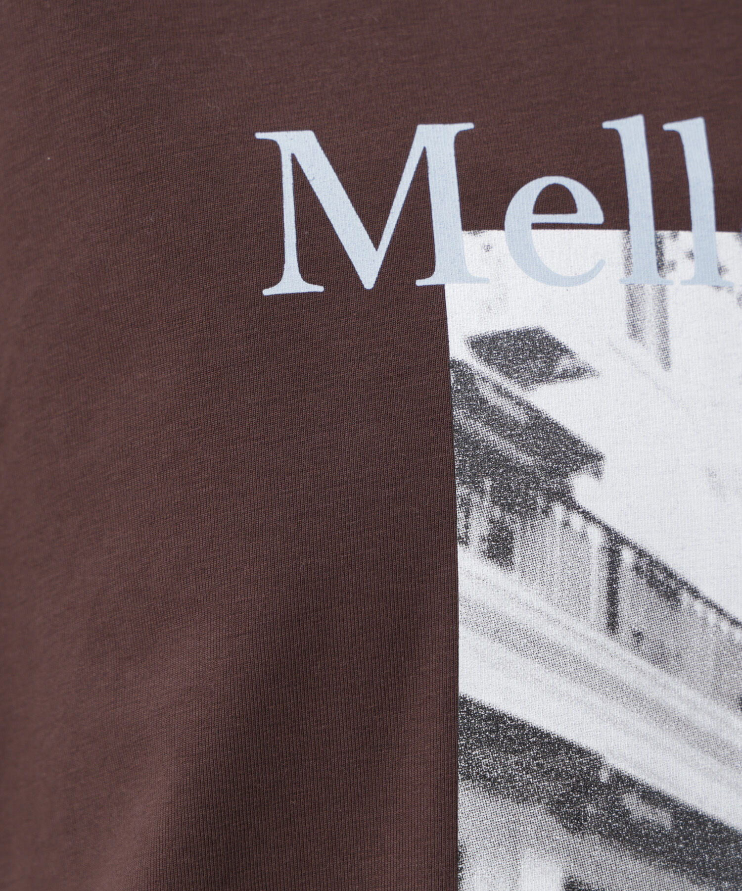  「フォトプリントTシャツ」|Tシャツ・カットソー|