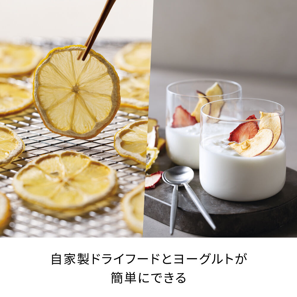 recolte「レコルトドライフード＆ヨーグルトメーカー　RFD-2」|食器・キッチングッズ|