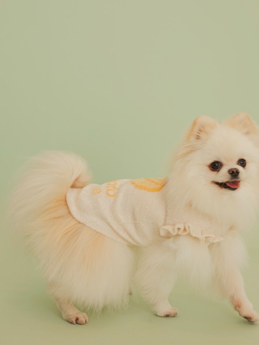  GELATO PIQUE CAT&DOG「【CAT&DOG】フルーツジャガードプルオーバー」|その他|