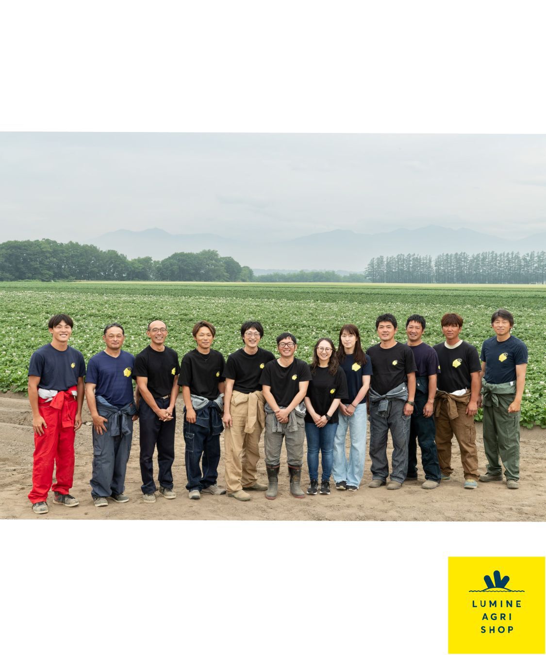 LUMINE AGRI SHOP「十勝とうもろこしｺﾞｰﾙﾄﾞﾗｯｼｭ10-13本」|果物・野菜|