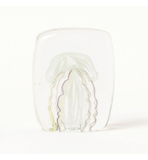 bPr BEAMS「DETAIL INC. / Jellyfish Twisted Leg "Square"」|その他|