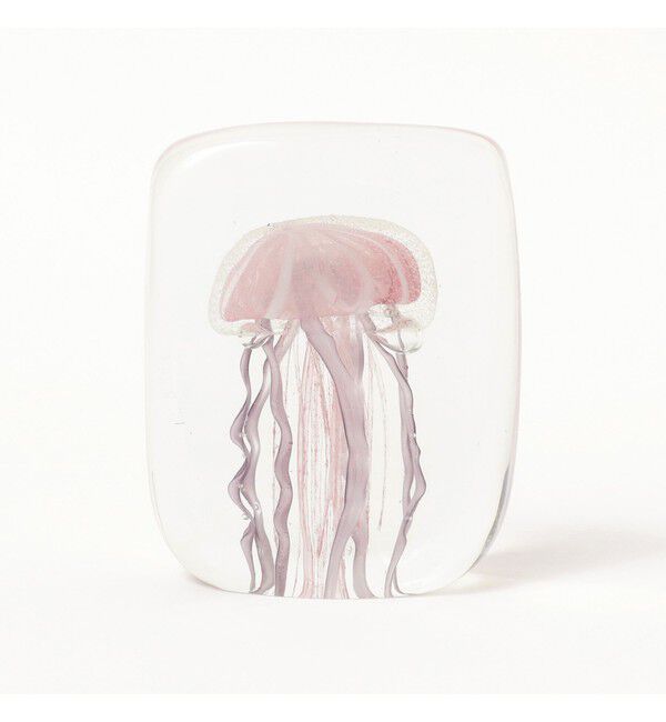 bPr BEAMS「DETAIL INC. / Jellyfish Twisted Leg "Square"」|その他|
