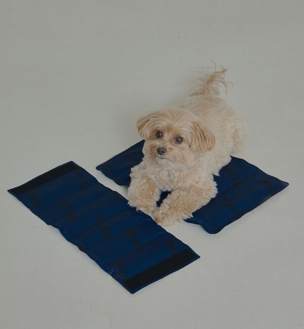 LOWELL things「【再入荷】MATIE/ 保冷ジェルマットL/ペットリュック対応【Directio」|その他|