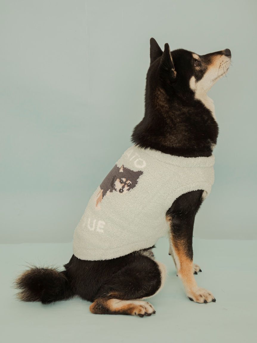  GELATO PIQUE CAT&DOG「【CAT&DOG】柴犬ジャガードプルオーバー」|その他|