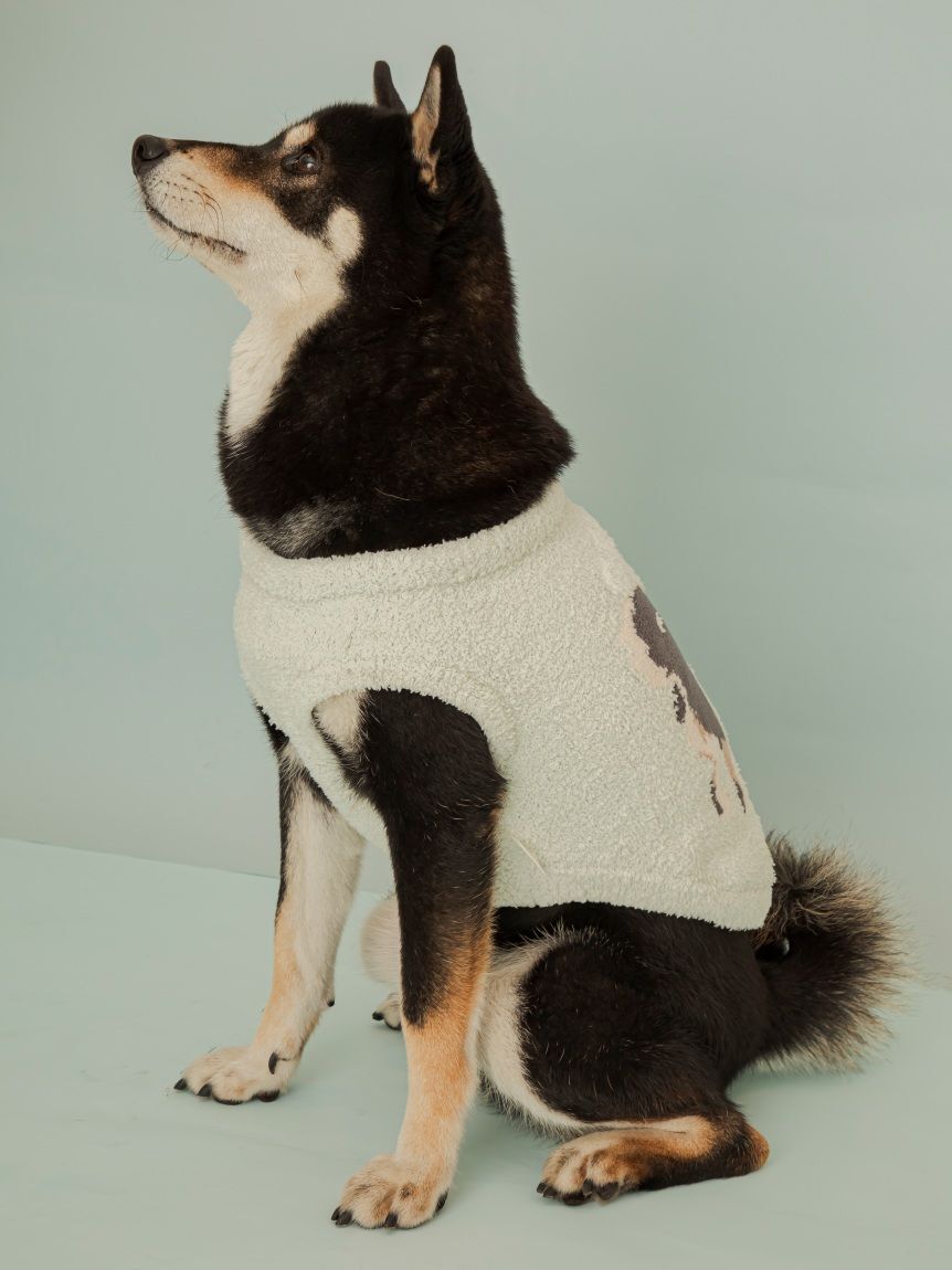  GELATO PIQUE CAT&DOG「【CAT&DOG】柴犬ジャガードプルオーバー」|その他|