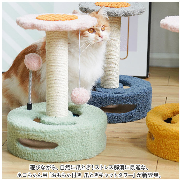 BACKYARD FAMILY「猫 爪とぎ 爪研ぎ 通販 つめとぎ 爪ケア 猫用爪とぎ 爪とぎ用品 猫用品 爪ケア用品」|その他|