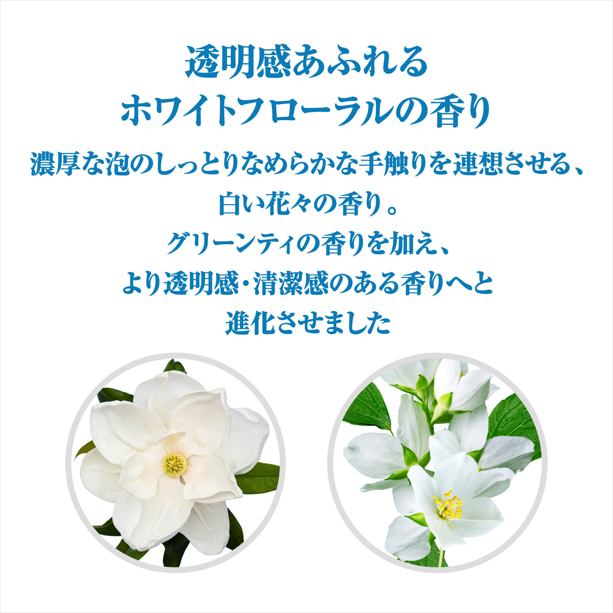  「SENKA(センカ) パーフェクトホイップ スピーディー つめかえ用/ホワイトフローラルの香り (130ml)」|洗顔料|
