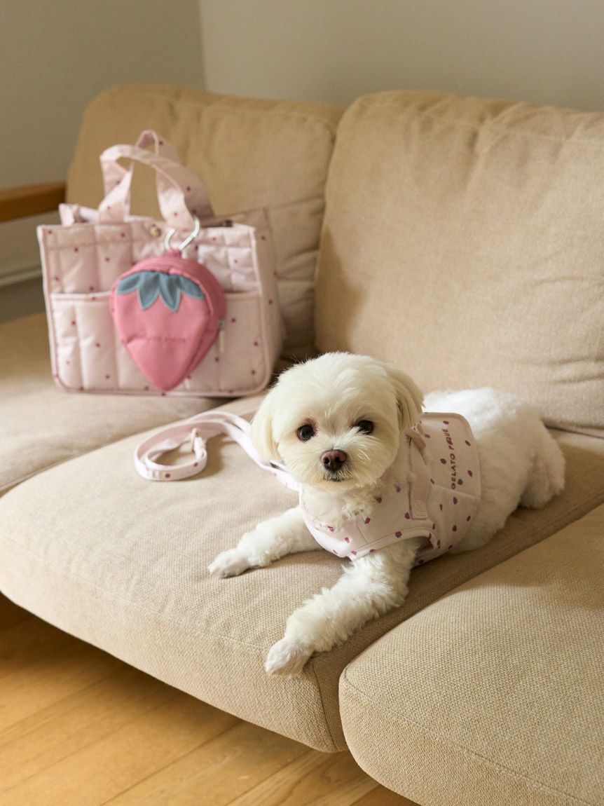  GELATO PIQUE CAT&DOG「【CAT&DOG】【販路限定商品】ストロベリーキルティングお散歩バッグＭ」|その他|