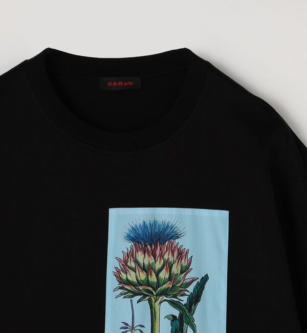 CABaN「スビンコットン THISTLE RHYTHMTシャツ」|Tシャツ・カットソー|
