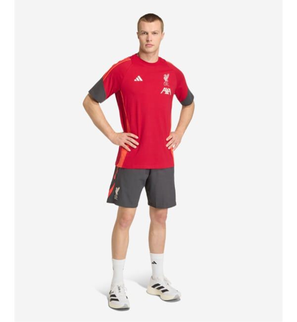 Liverpool FC「【Liverpool FC / リバプール FC】 ADIDAS TR SHO」|その他|