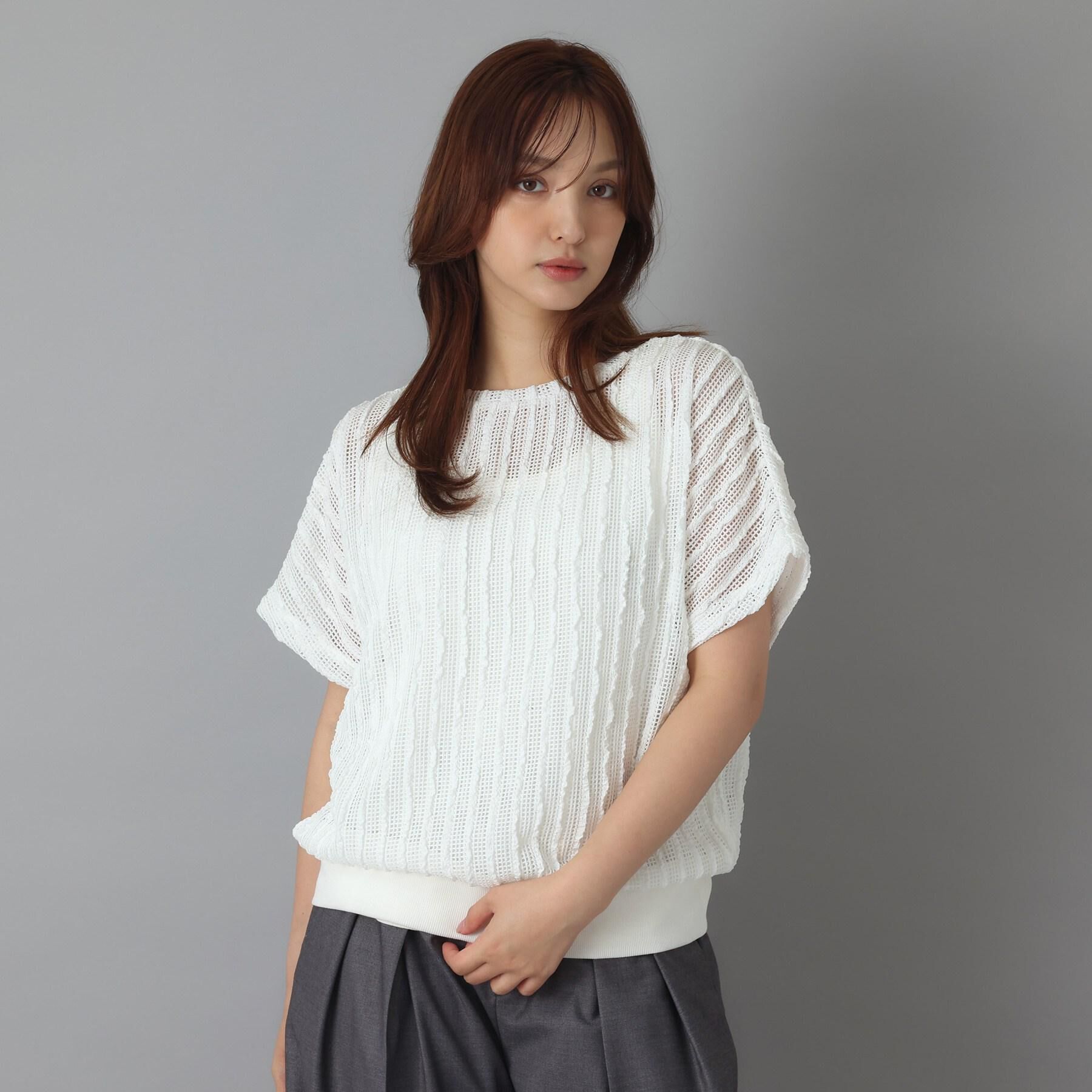 DRESSTERIOR「シアーメッシュプルオーバー」|Tシャツ・カットソー|