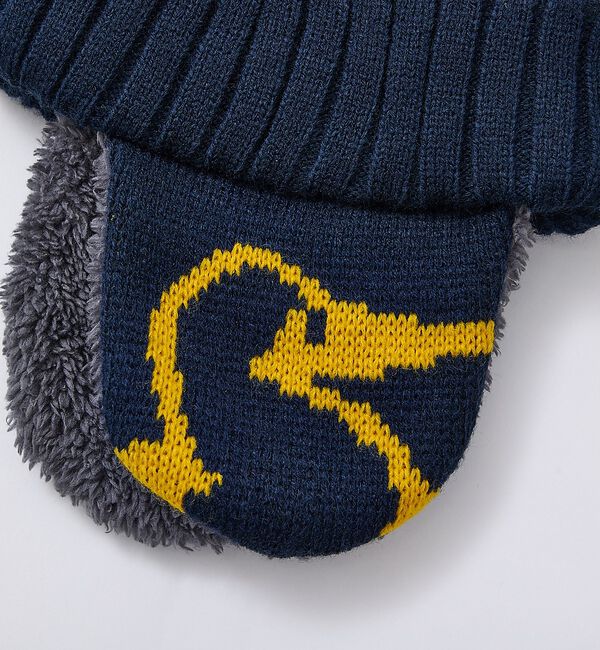 ABAHOUSE「【CHUMS / チャムス】Camping Knit Cap / キャンピングニ」|その他|