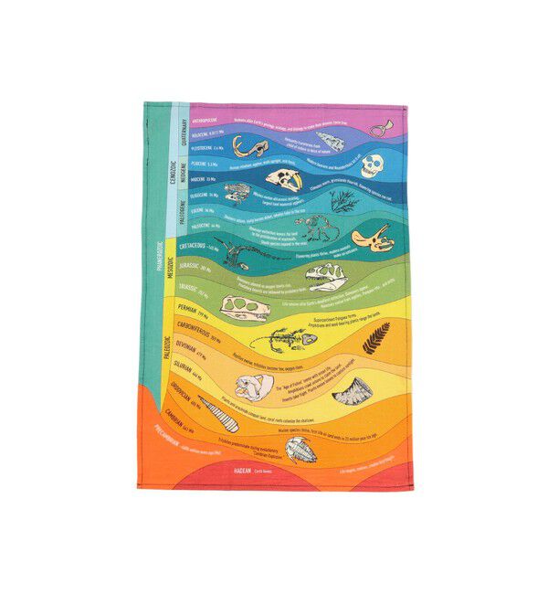 bPr BEAMS「Unemployed Philosophers Guild / Dish Towel」|トイレタリー・ランドリーグッズ|