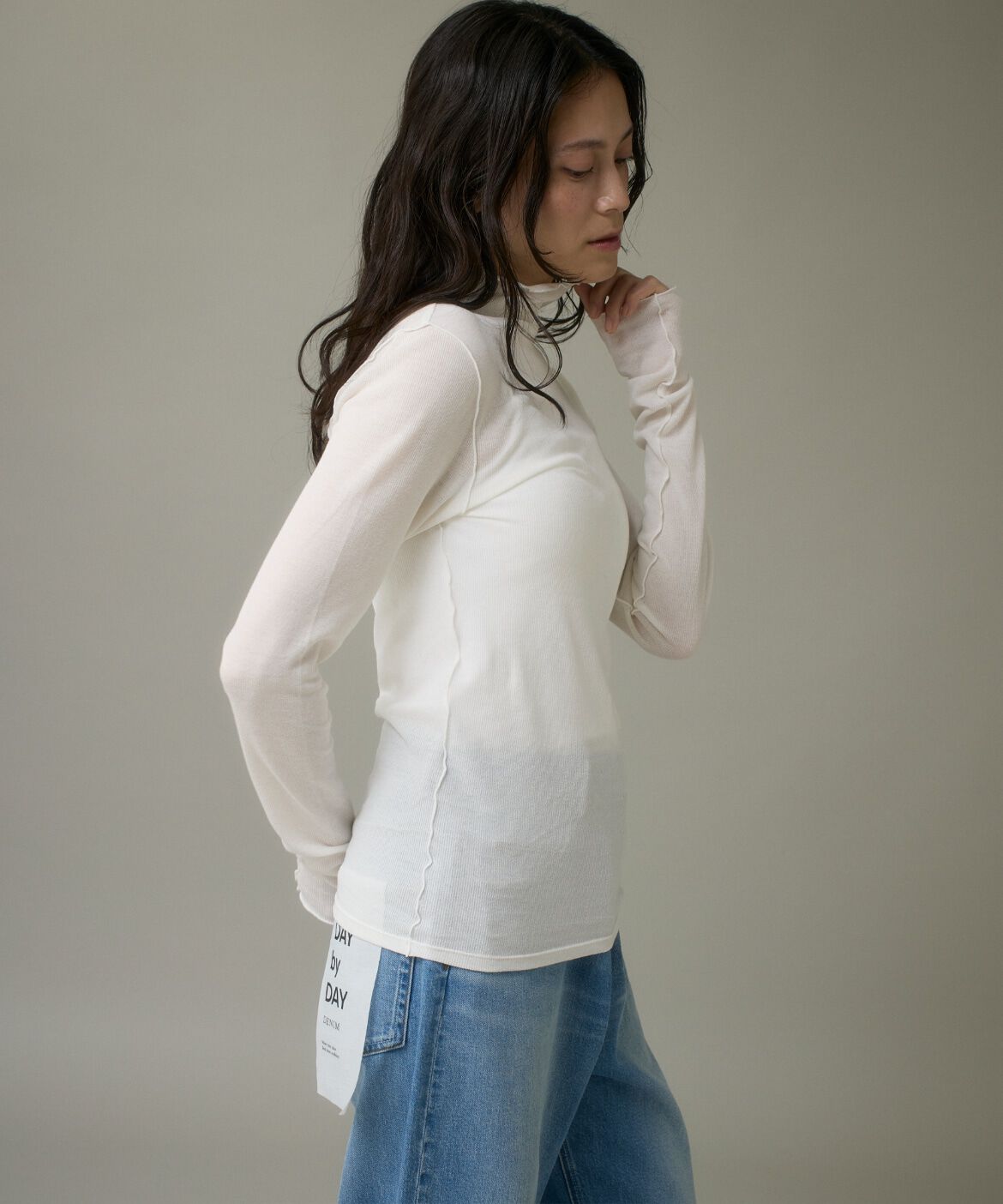 DAY by DAY it&rsquo;s international「シアーテレコハイネックプルオーバー」|Tシャツ・カットソー|
