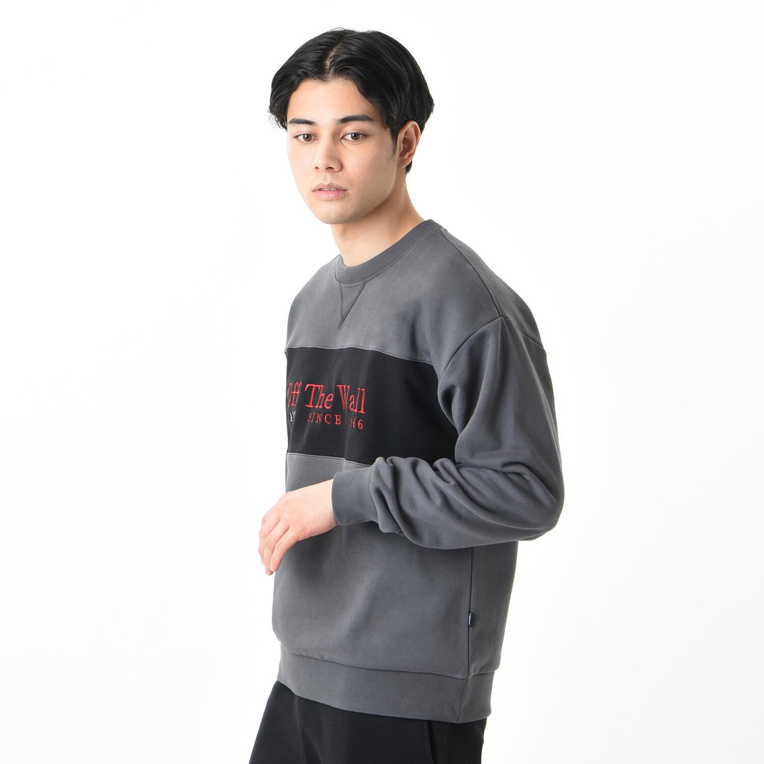 VANS「【VANSｱﾊﾟﾚﾙ(WJ)】M Bi-Color Marion C SWT」|パーカー|
