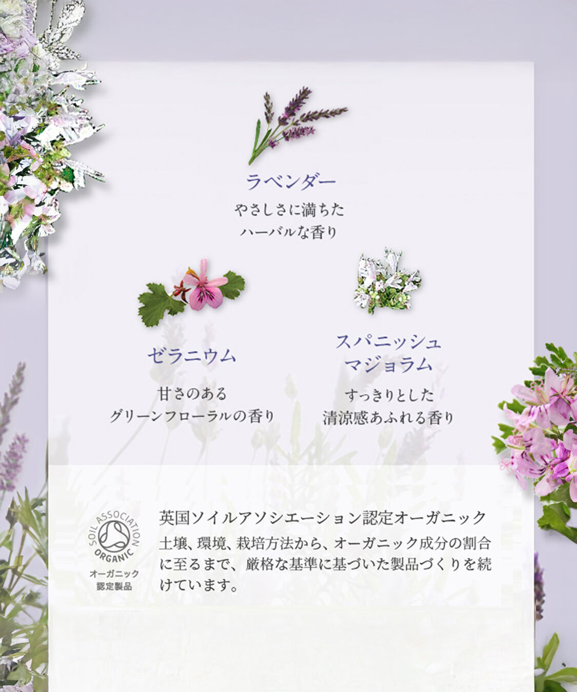 NEAL&rsquo;S YARD REMEDIES「アロマティック マッサージオイル 100ml」|ボディ保湿|