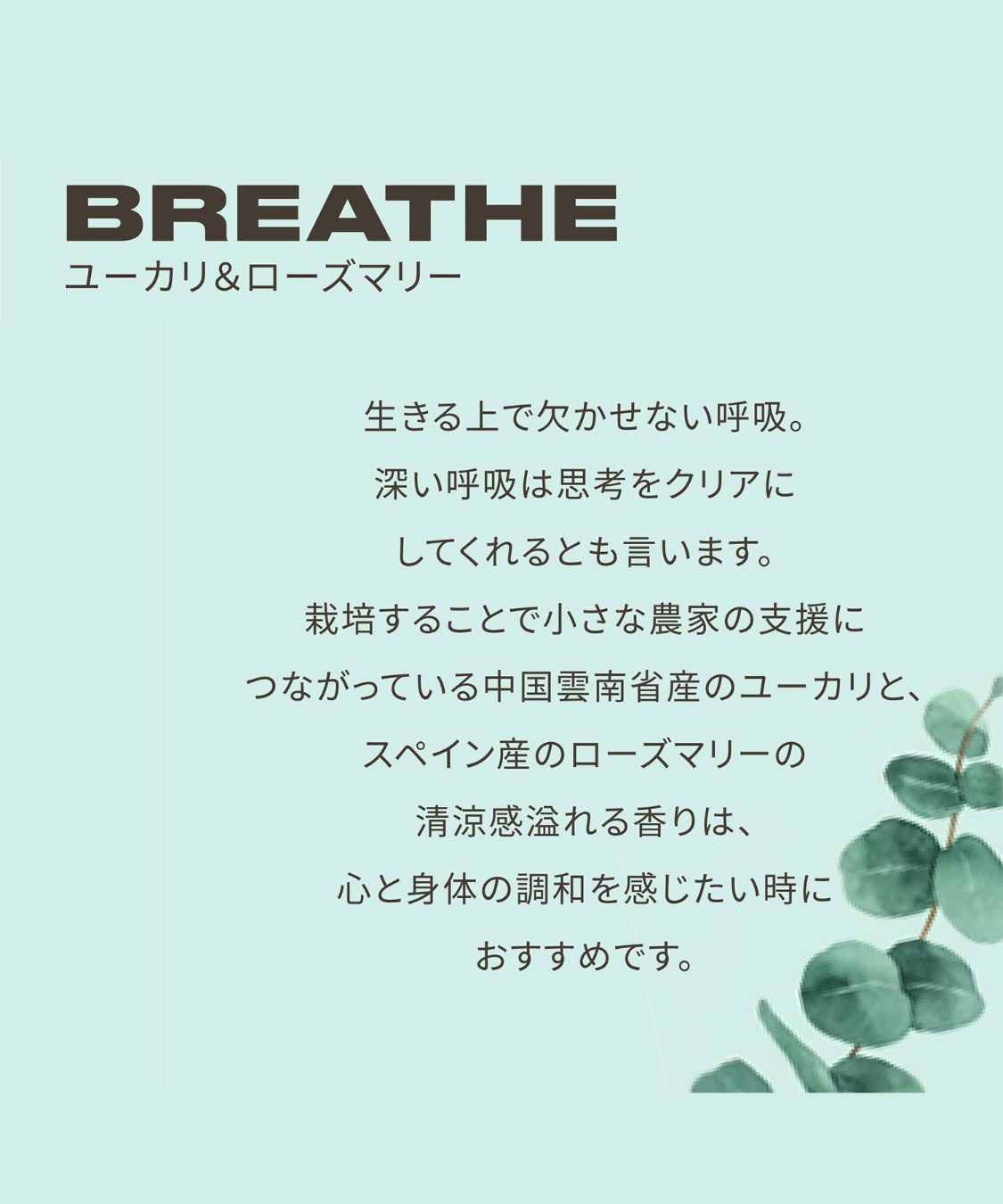 THE BODY SHOP「【特別価格】ウェルネス ブレンドオイル EU&RO 20mL（香り：ユーカリ＆ローズマリー）」|香水・フレグランス|