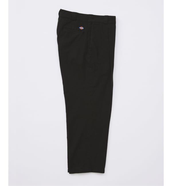 JOURNAL STANDARD「Dickies / ディッキーズ 別注 リゾート ステート パンツ」|その他|
