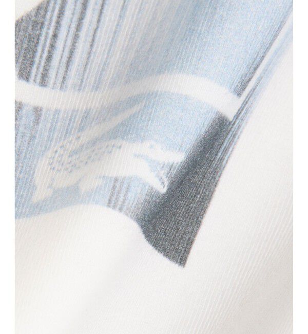 LACOSTE「テニスボールグラフィックプリントTシャツ」|Tシャツ・カットソー|