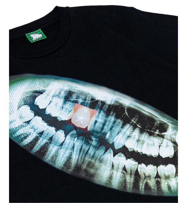 JOINT WORKS「SAGE / セイジ Panoramic Tee」|Tシャツ・カットソー|
