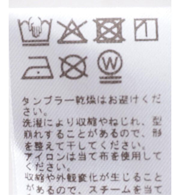 JOURNAL STANDARD relume「チュールリンガーTEE」|Tシャツ・カットソー|