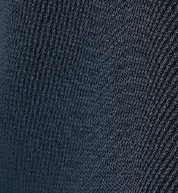 Rouge vif「【THE NORTH FACE/ノースフェイス】Historical Logo」|Tシャツ・カットソー|