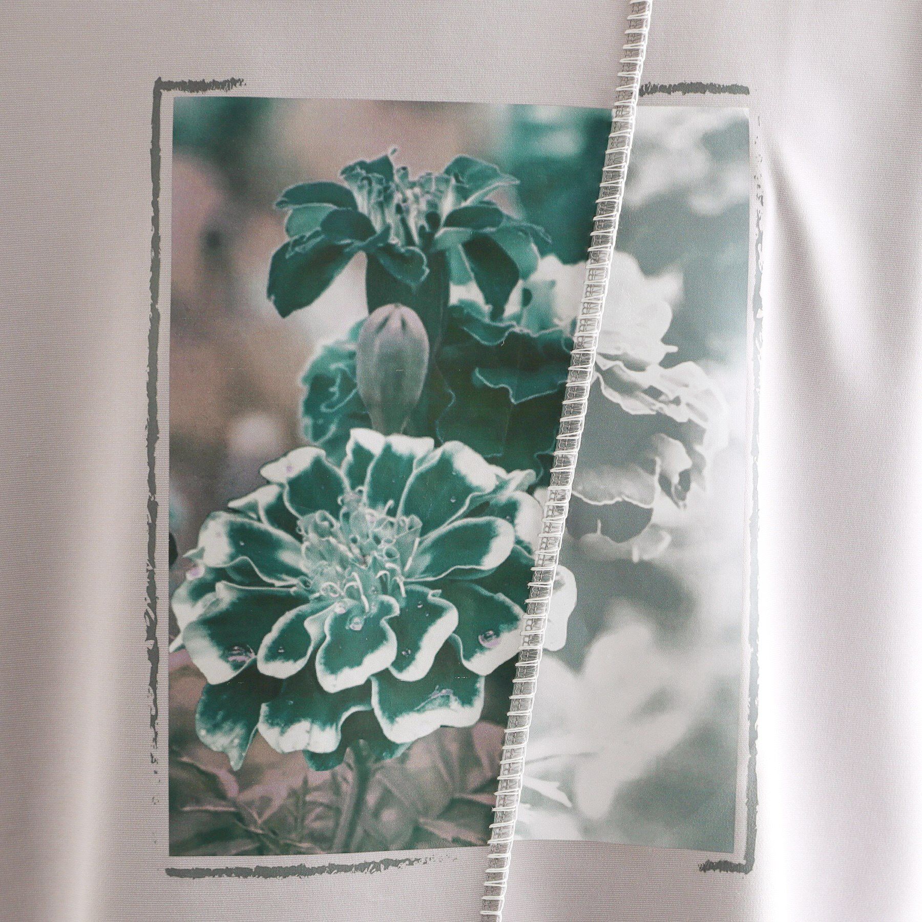 tk.TAKEO KIKUCHI「◆インバージョンフラワーカットソー」|Tシャツ・カットソー|